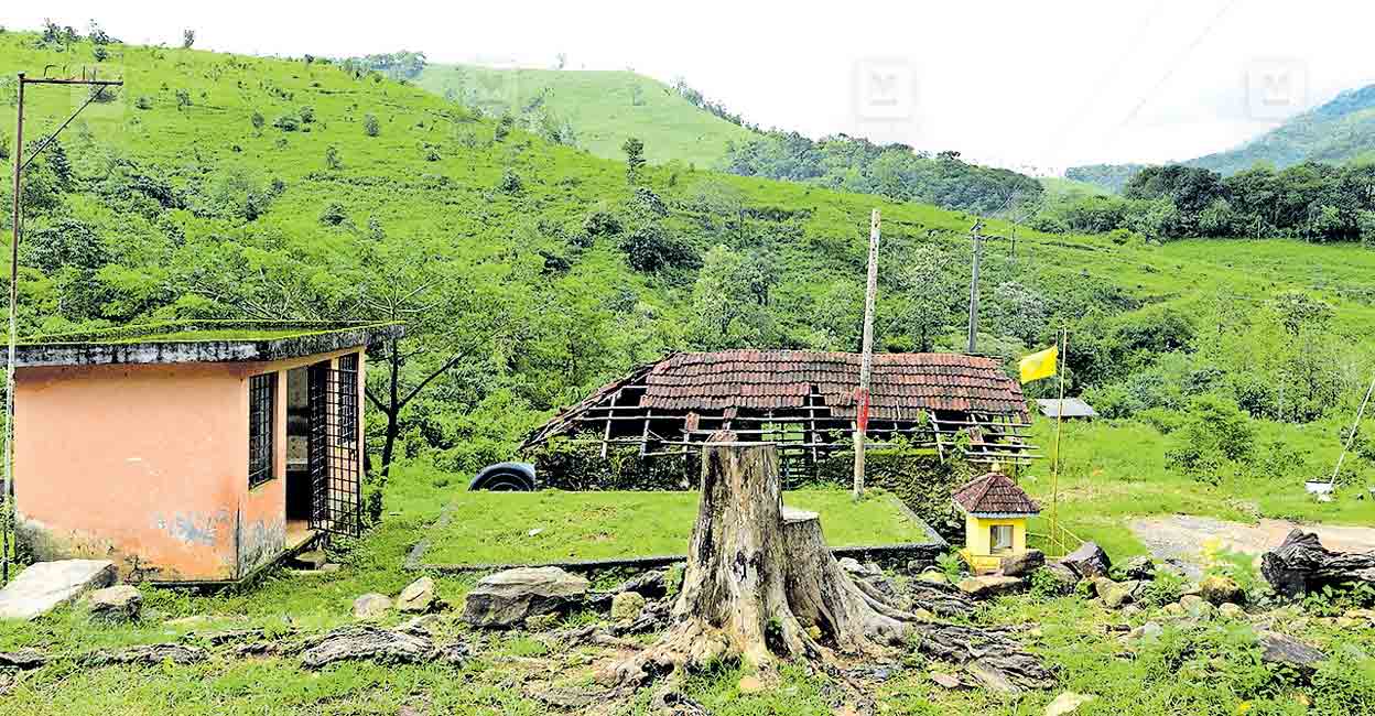 mathamba-mundakkayam1.jpg