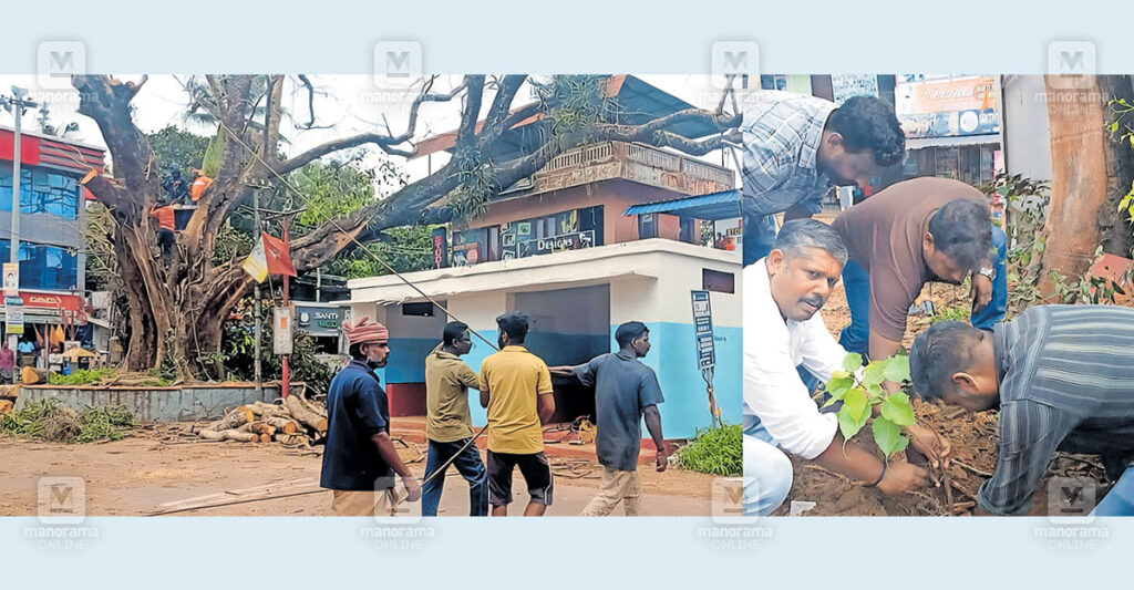 meeyyannoor-students-protect-banyan-tree.jpg