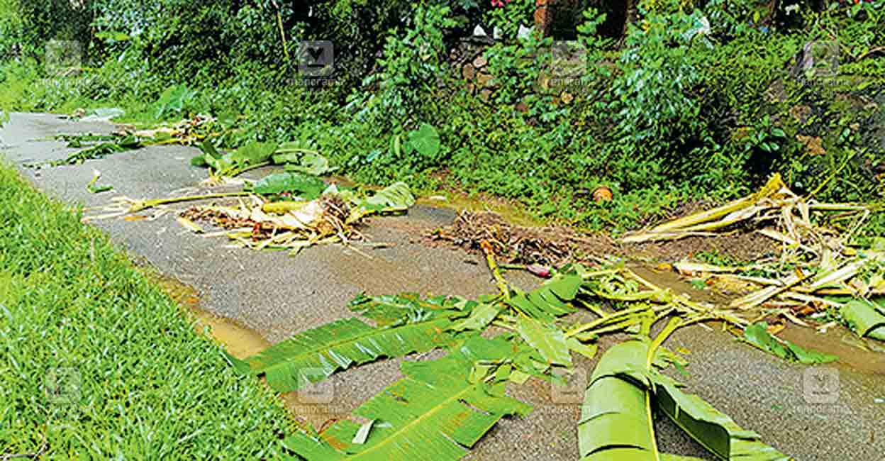 muthumari-elephant-attack.jpg