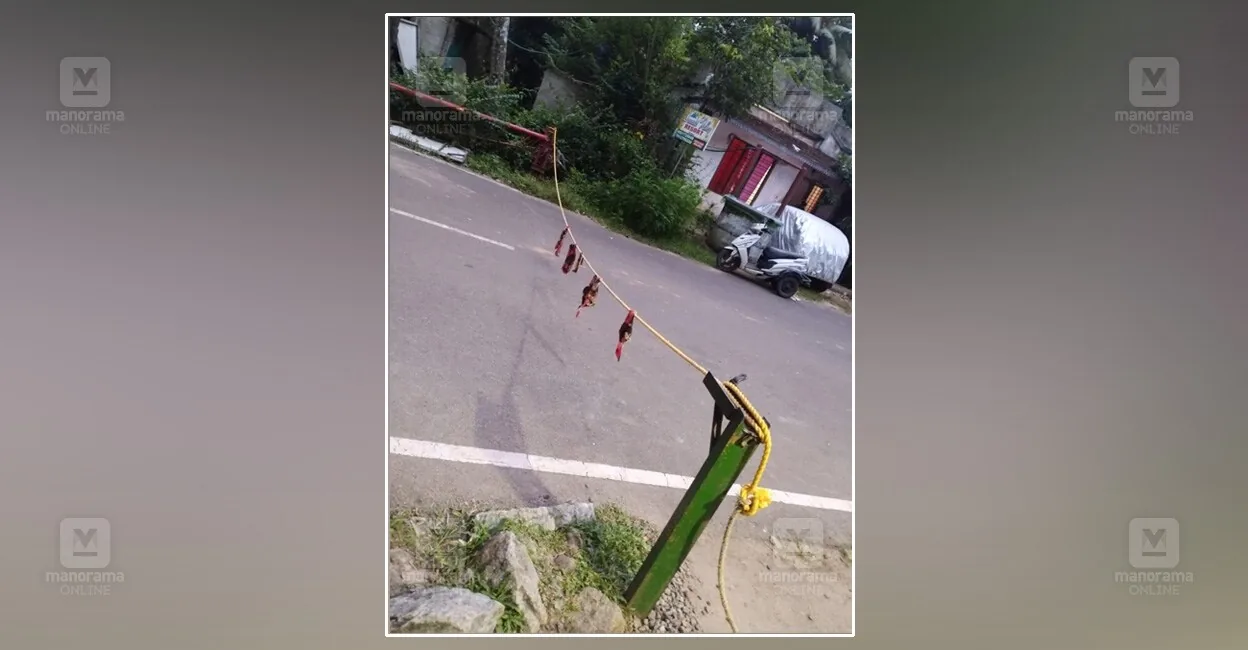 palode-rope-accident-1.jpg