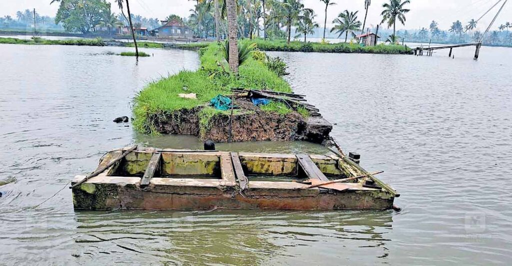 paravoor-paddy-fields-flood-crisis.jpg