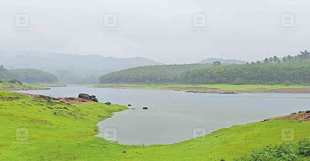 peechi-dam.jpg