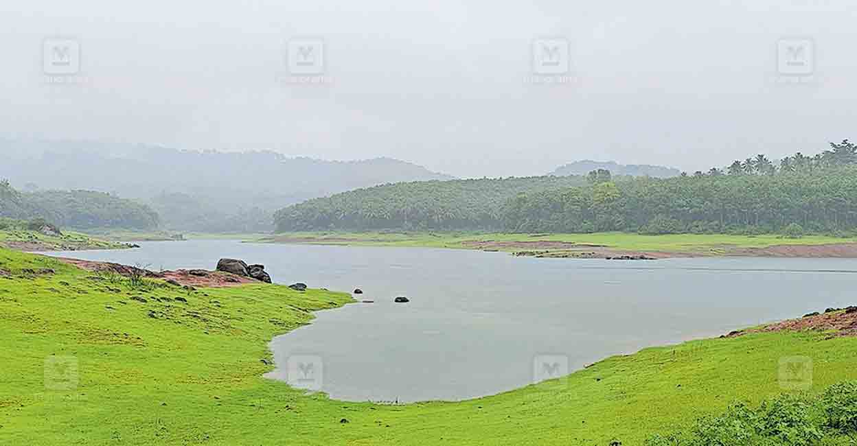 peechi-dam.jpg