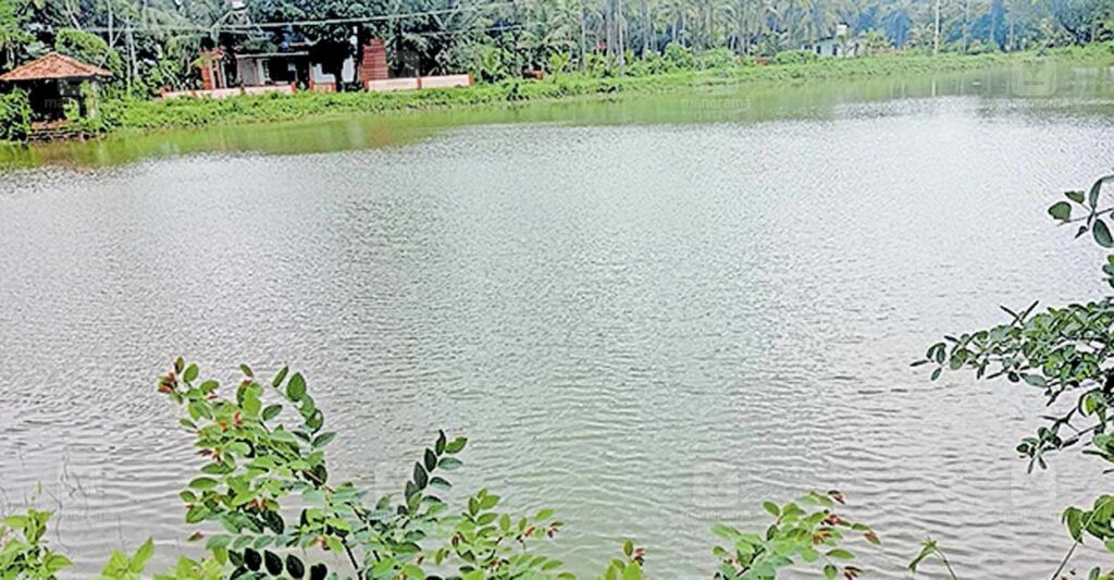 pond-.jpg
