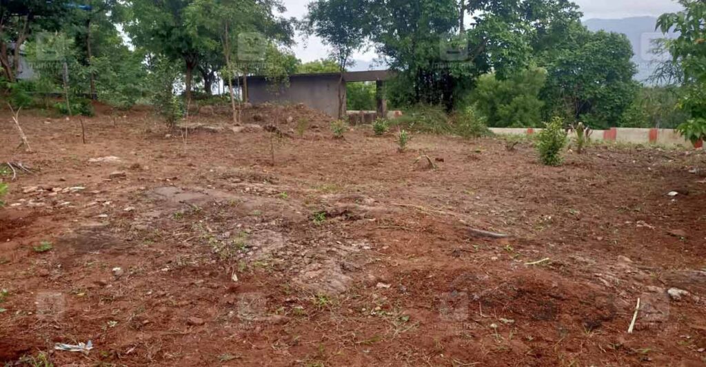rebirth-sacred-grove-pattanchery-panchayath.jpg