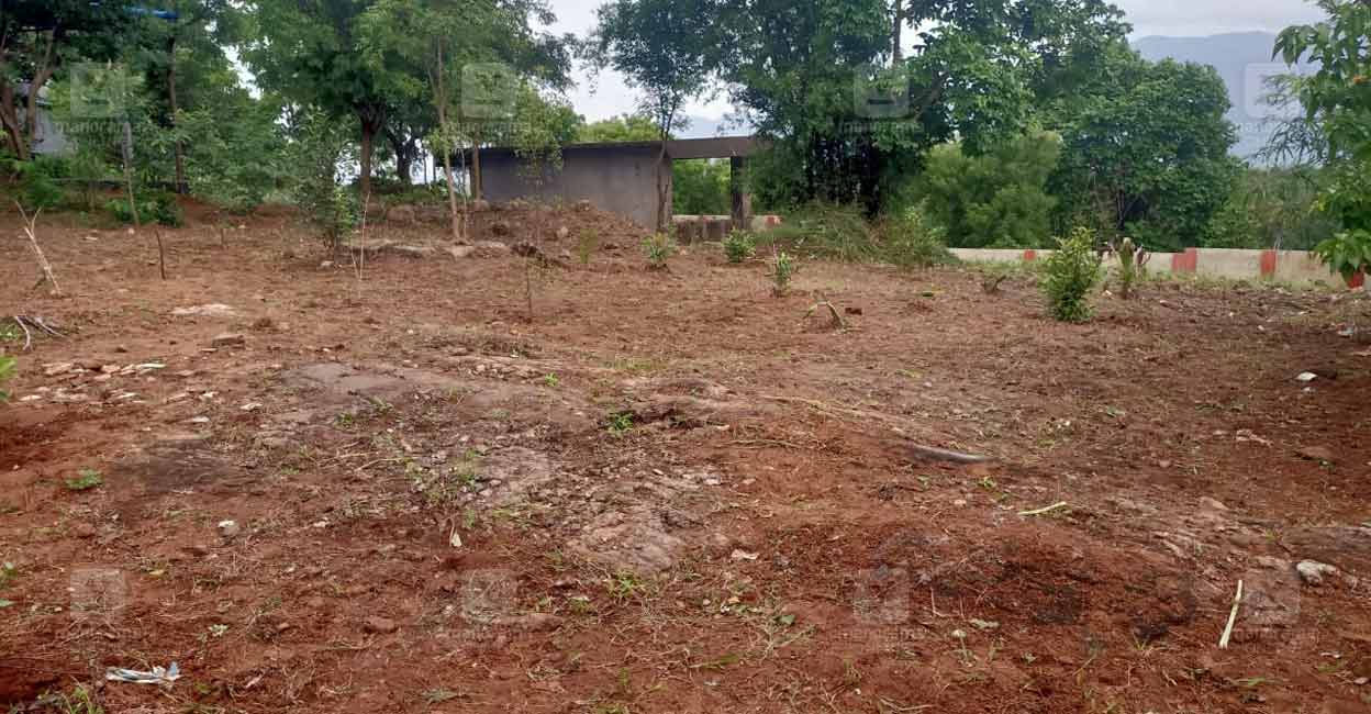 rebirth-sacred-grove-pattanchery-panchayath.jpg