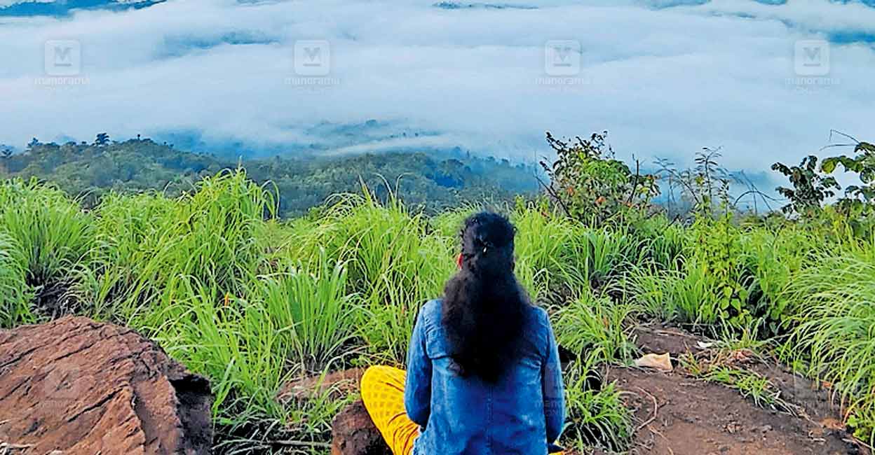 tourist-arrivals-wayanad.jpg