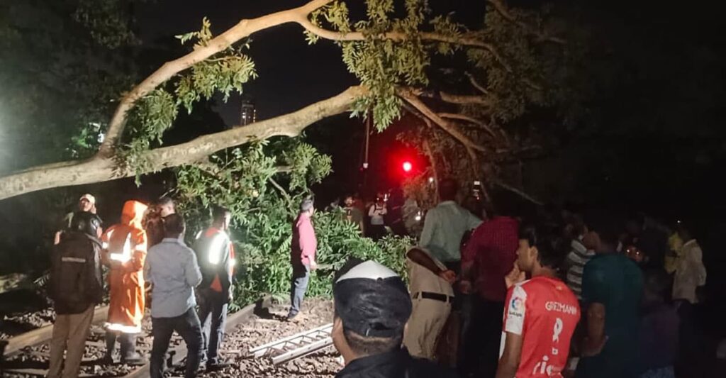 train-tree-kollam-1506.jpg