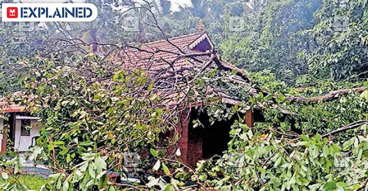 tree-fall-on-the-house.jpg