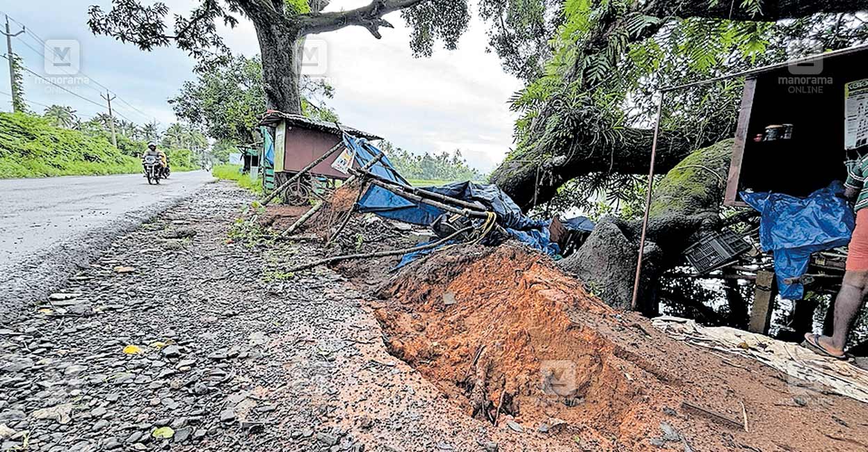 tree-falling.jpg