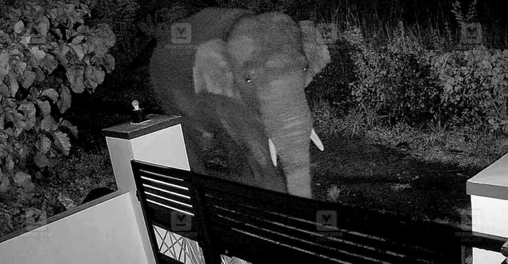 vadakkanchery-elephant.jpg