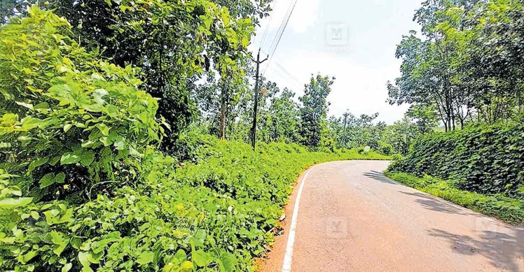 vannapuram-road-issue.jpg