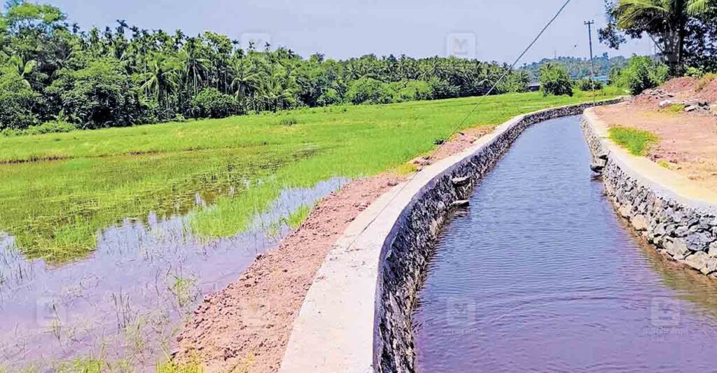water-conservation.jpg