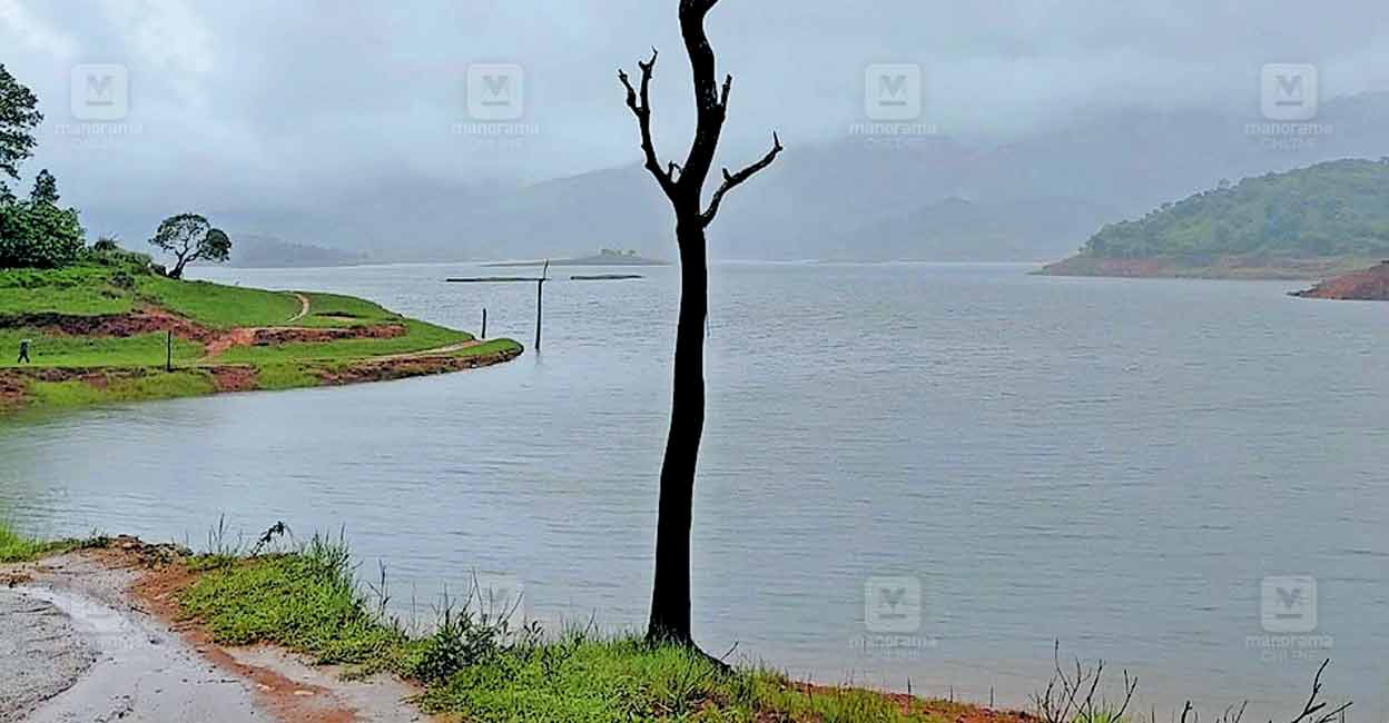 wayanad-padinjarathara-dam-water-rise.jpg
