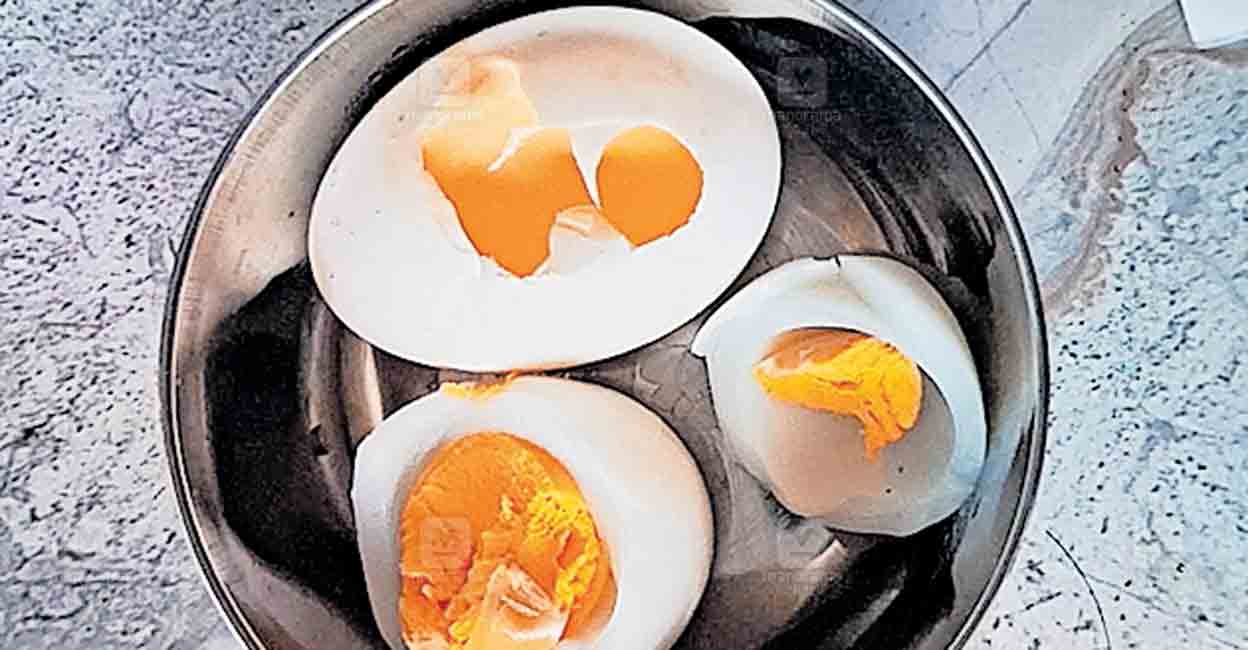 wayanad-plasttic-egg.jpg