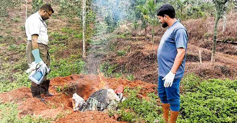 1752474220_wayanad-african-snail-issue.jpg