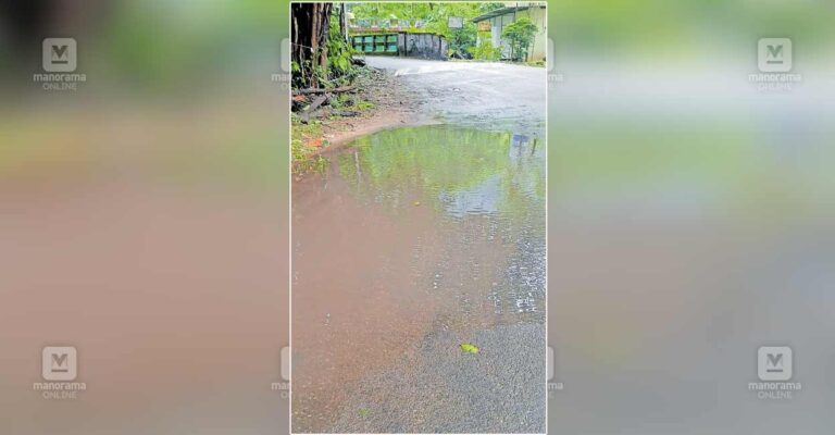1752520616_water-logging-issue.jpg