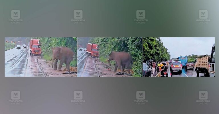 1753075732_wild-elephant-attack.jpg