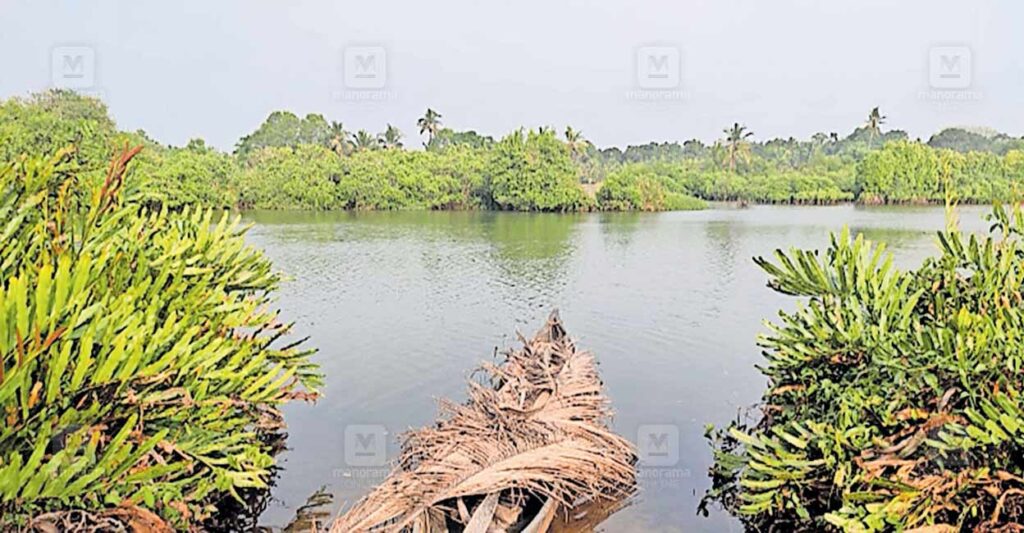 Padiyilkadavu-bridge.jpg