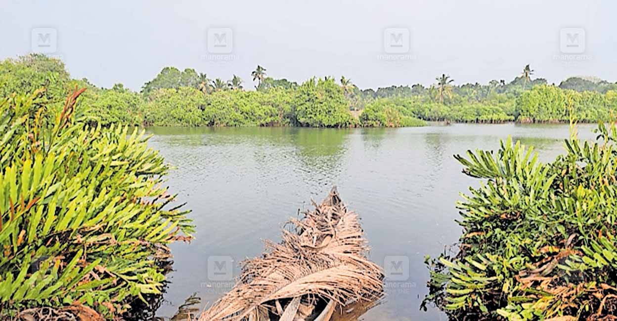 Padiyilkadavu-bridge.jpg