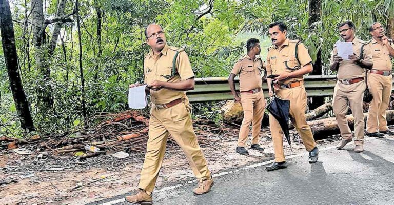 adimaly-tree-cutting-inspection.jpg