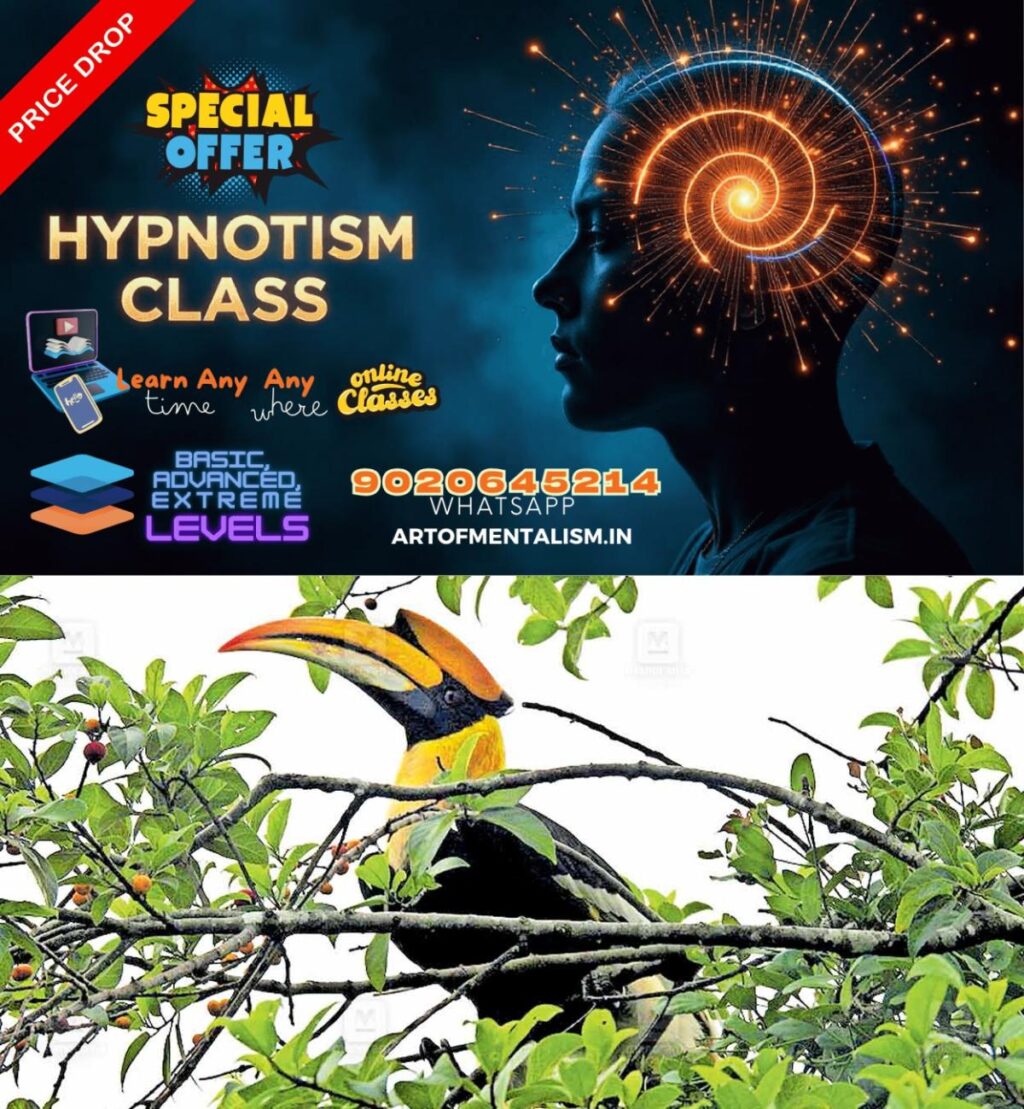 admerged_1752039483_kannur-bird