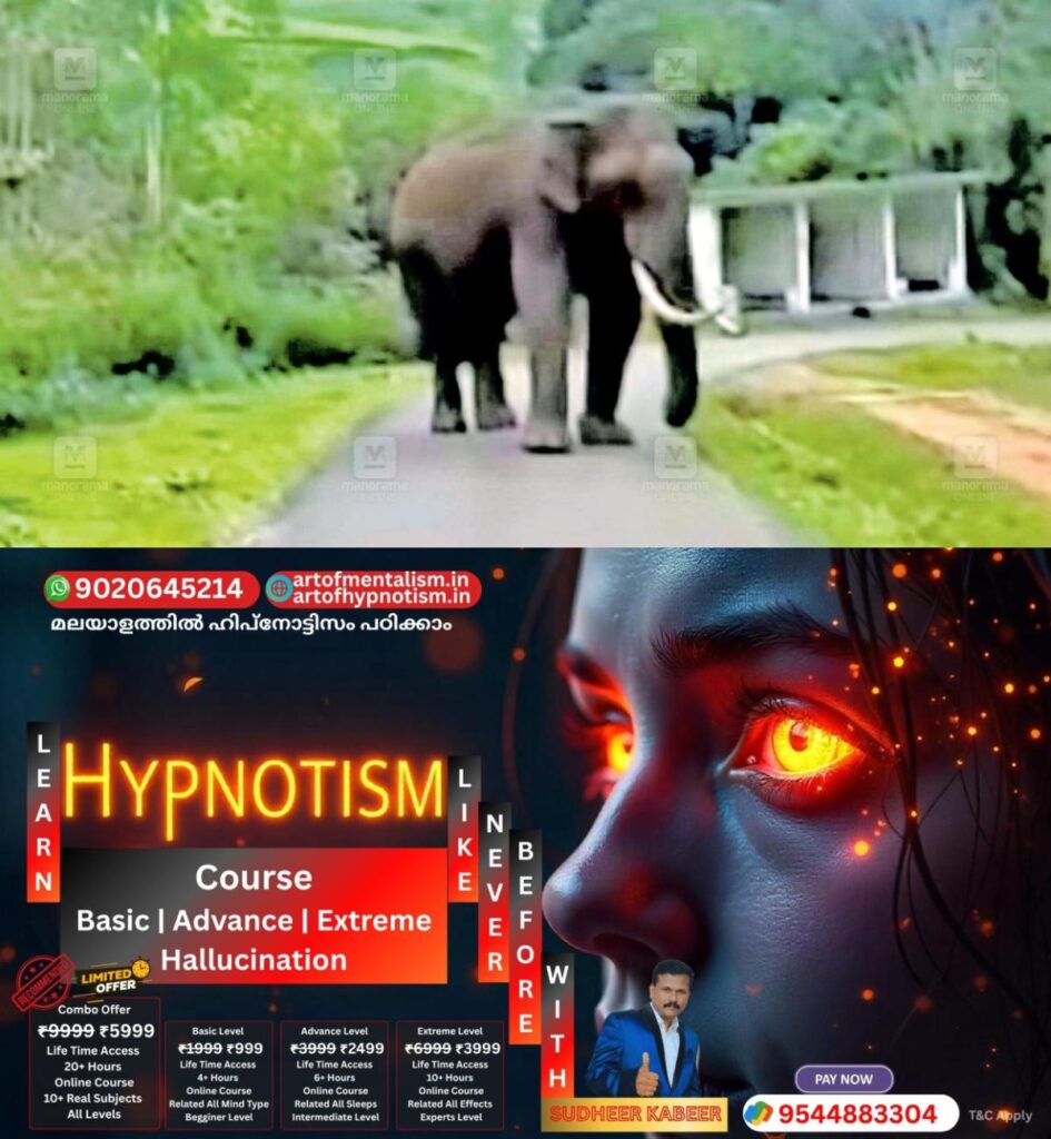 admerged_1752044120_padayappa