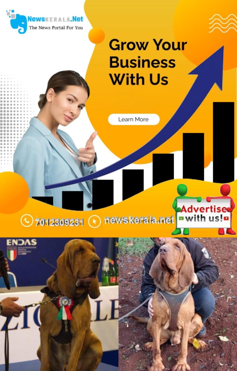 admerged_1752045742_bruno-1752045230348_1280x720xt