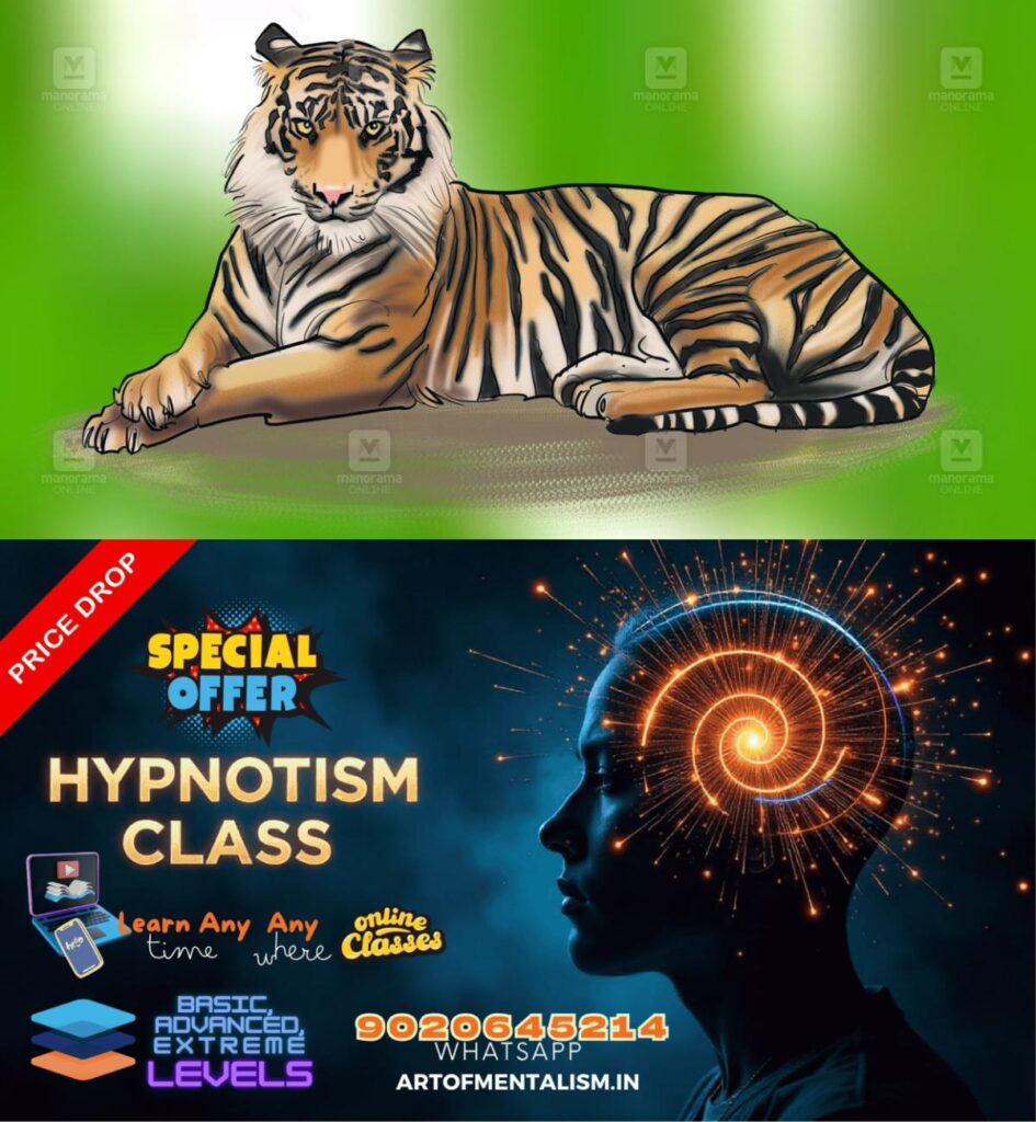 admerged_1752063099_tiger-sketch-1