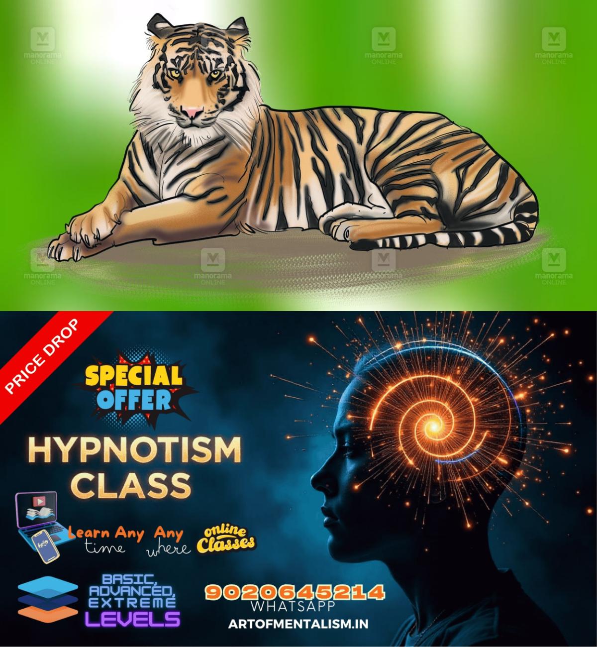 admerged_1752063099_tiger-sketch-1
