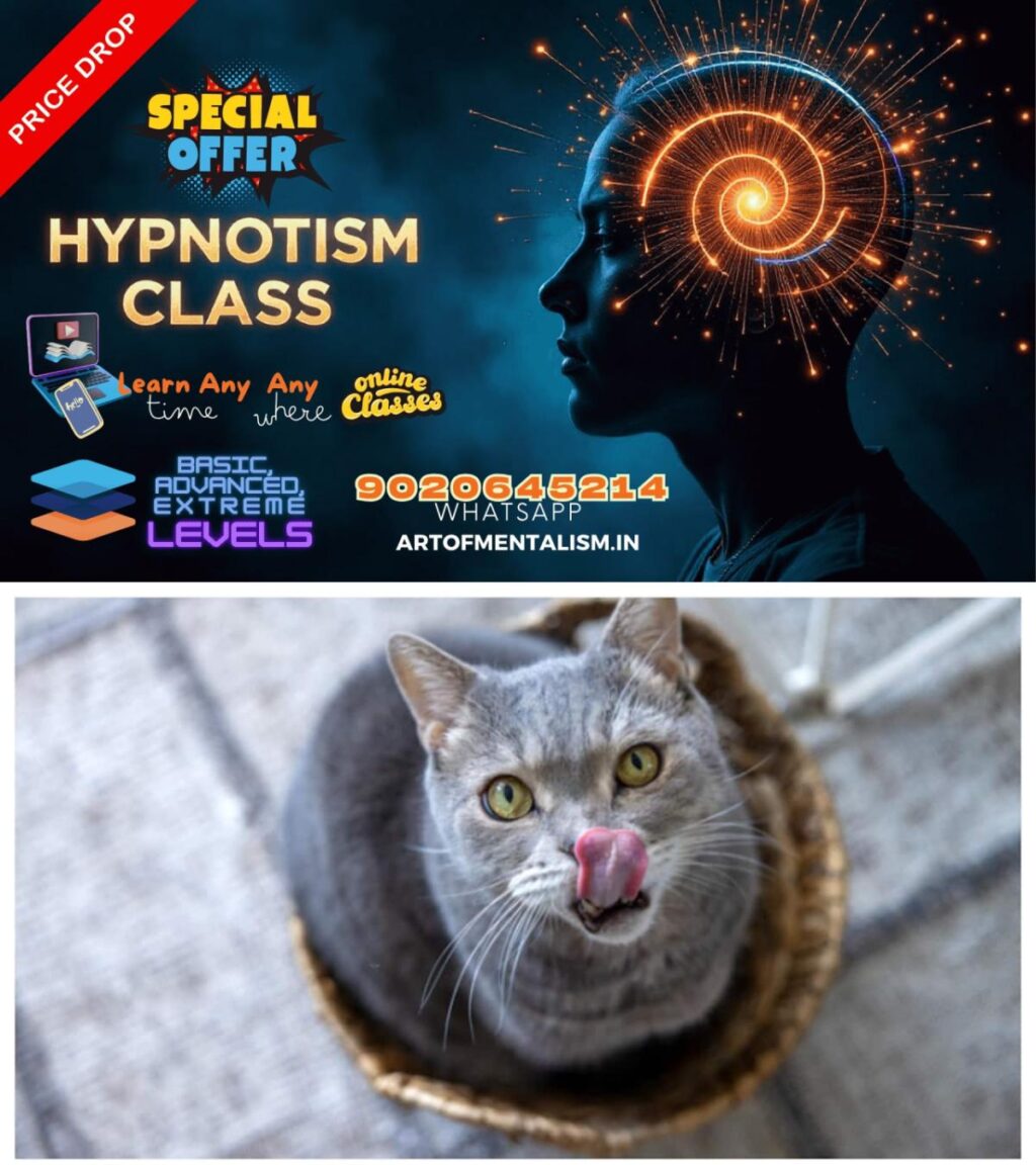 admerged_1752064839_cat-1751353256178_1280x720xt