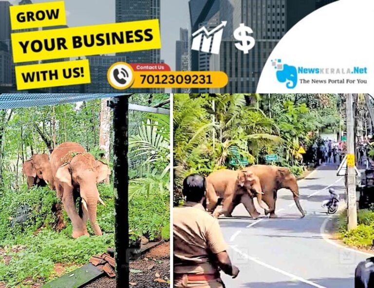 admerged_1752125865_elephant-idk