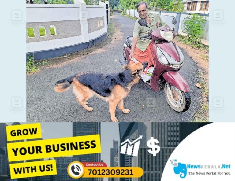 admerged_1752129769_newspaper-delivery-dog-kerala