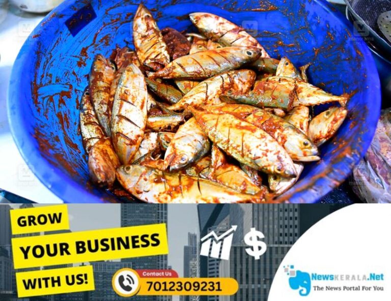 admerged_1752141559_fish-preparation