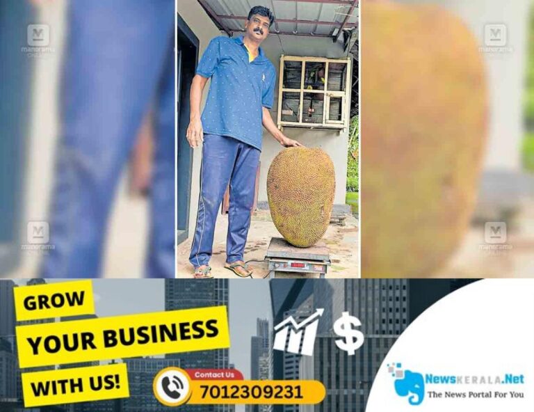 admerged_1752180473_big-jackfruit