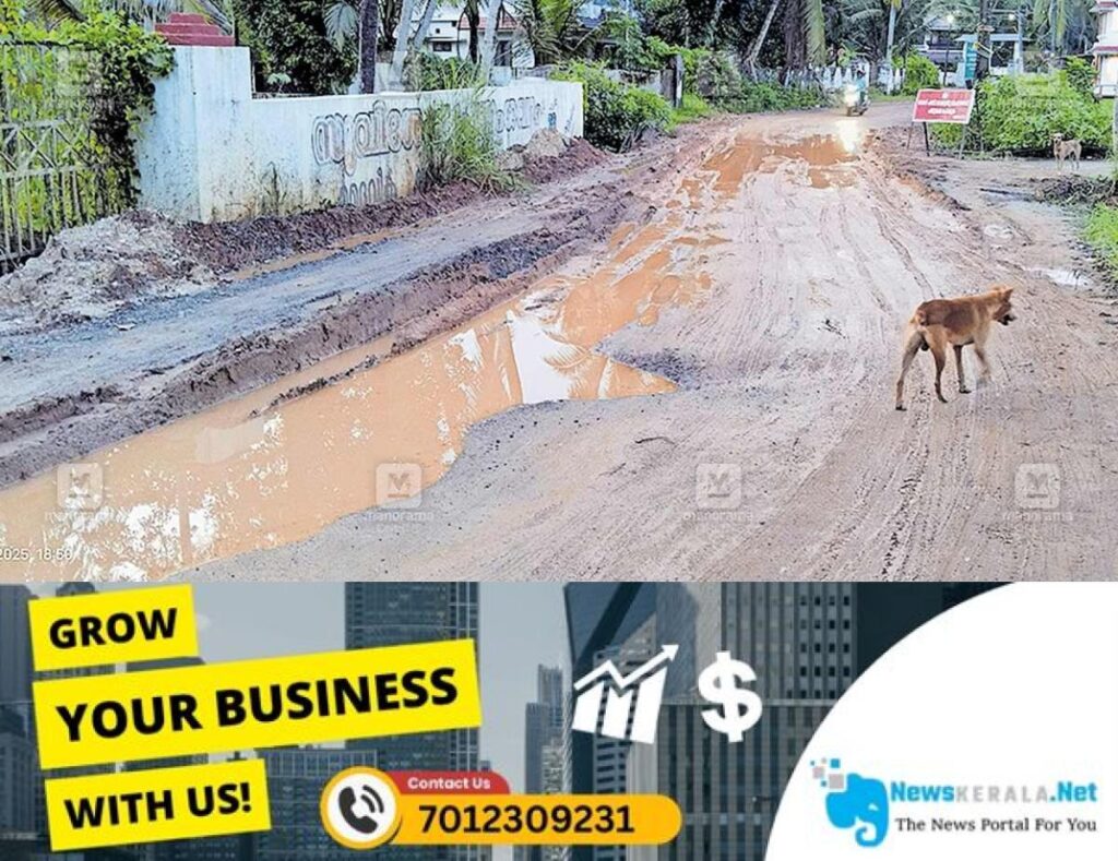 admerged_1752203689_road-issue