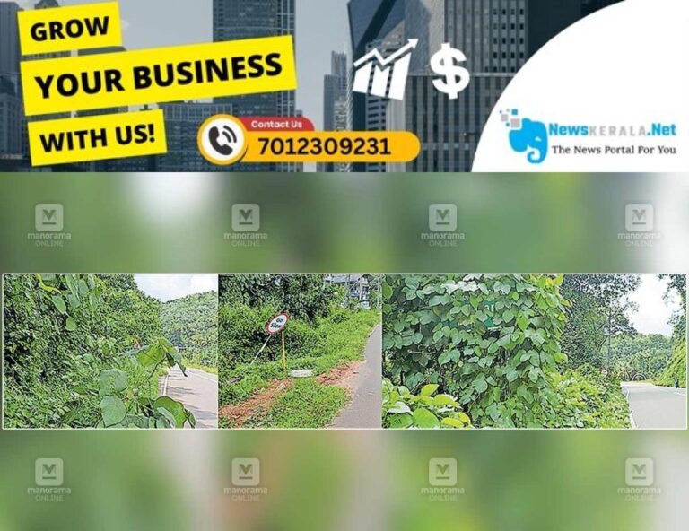 admerged_1752204766_road-side-issue