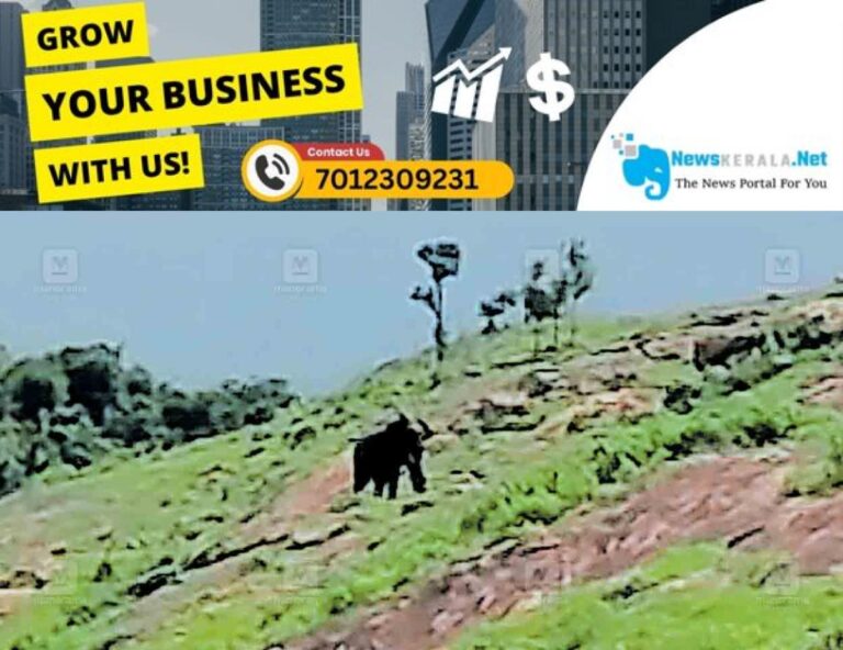admerged_1752220018_palakkad-wild-elephant-attack