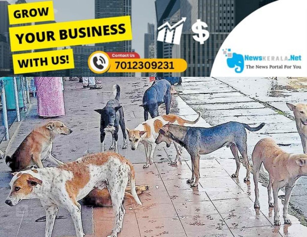admerged_1752269392_stray-dog-menace-mavelikara