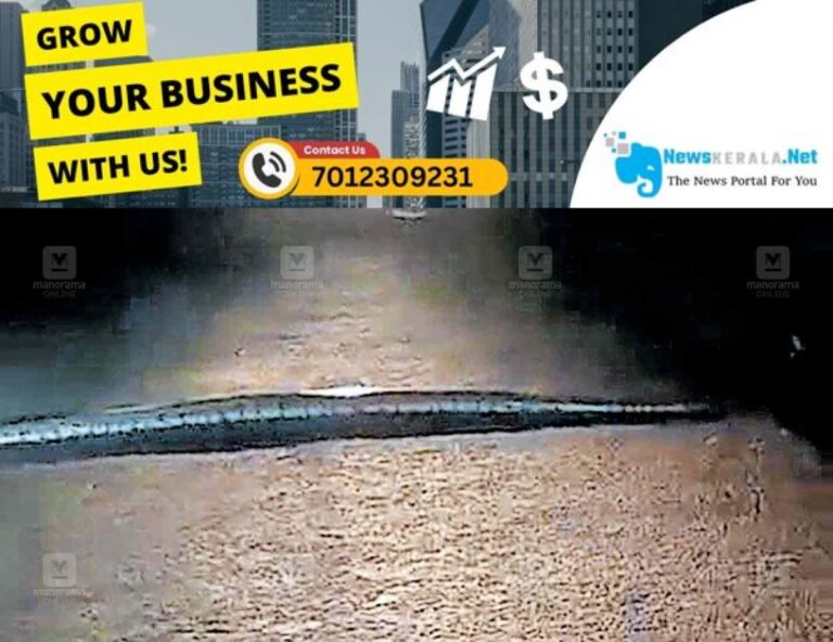 admerged_1752269706_rani-snake-issue