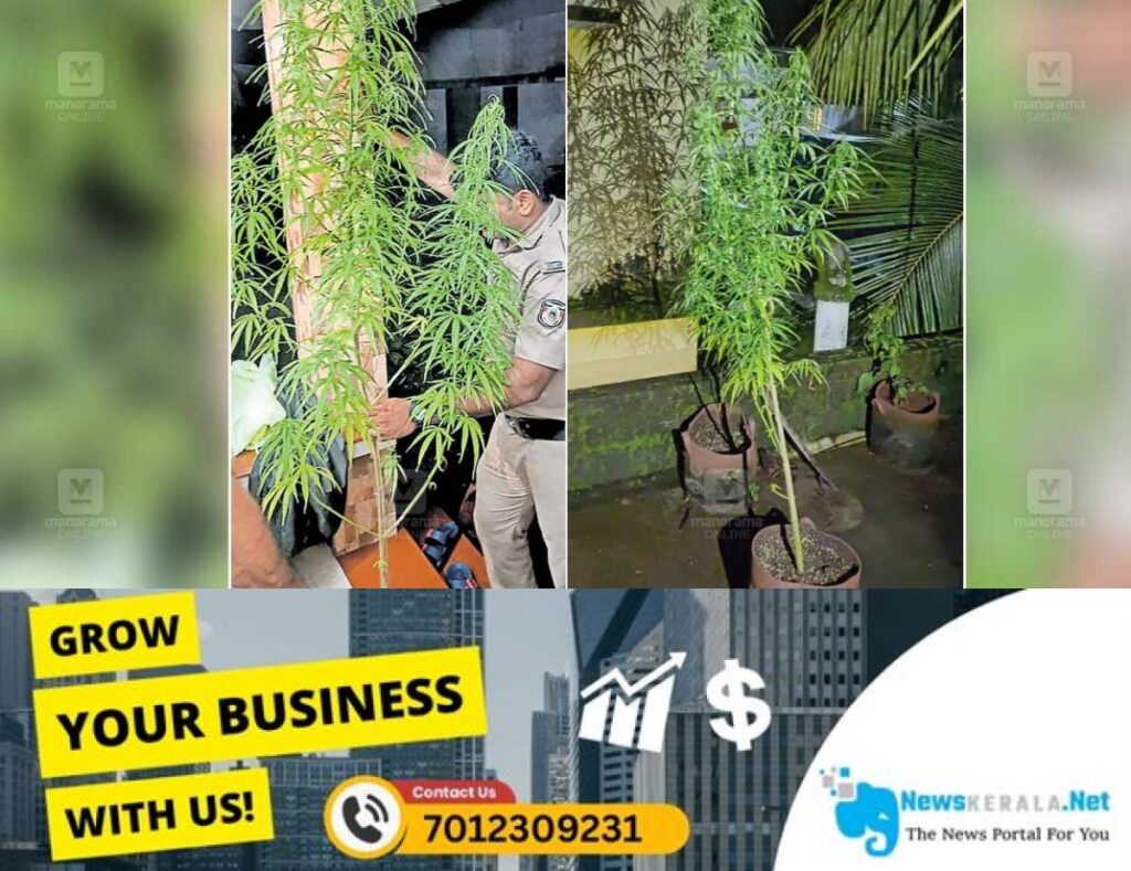 admerged_1752288250_kozhikode-ganja-seized