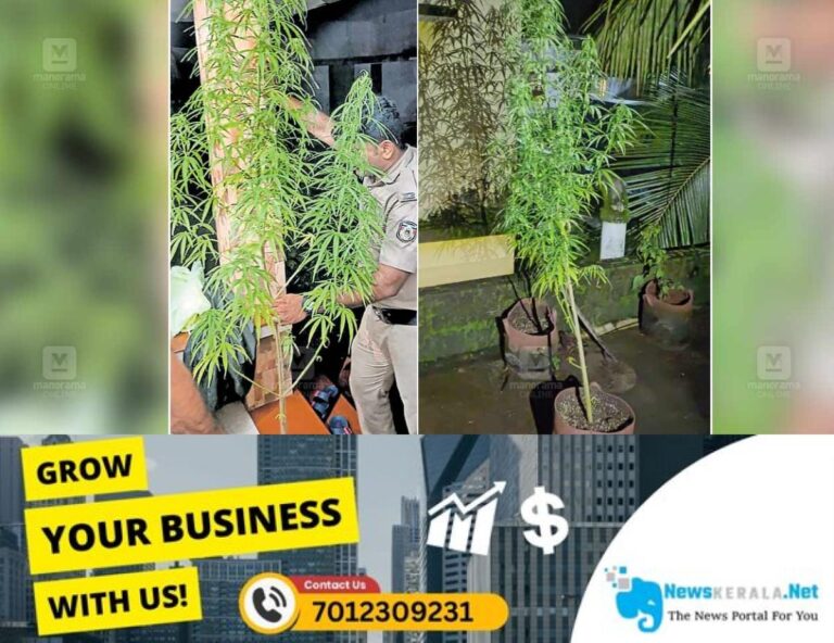 admerged_1752288250_kozhikode-ganja-seized