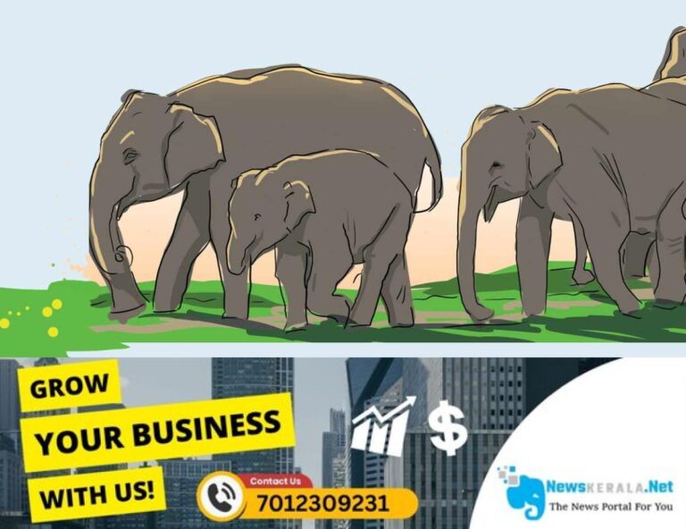 admerged_1752293401_wild-elephant-threaten6