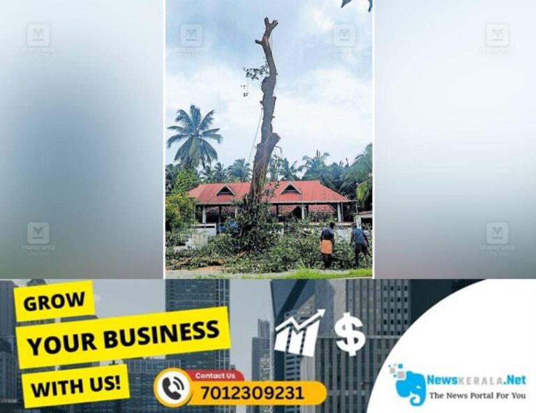admerged_1752293885_banyan-tree