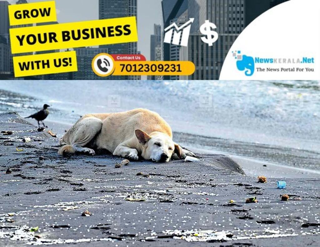 admerged_1752294528_kovalam-beach-issue