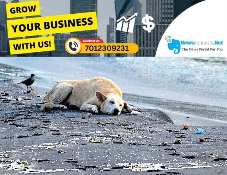 admerged_1752294528_kovalam-beach-issue