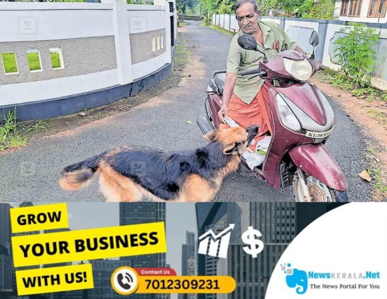 admerged_1752354058_kottayam-pet-dog-judy