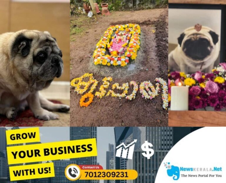 admerged_1752355788_kuttappayi-dog-1752326412340_1280x720xt