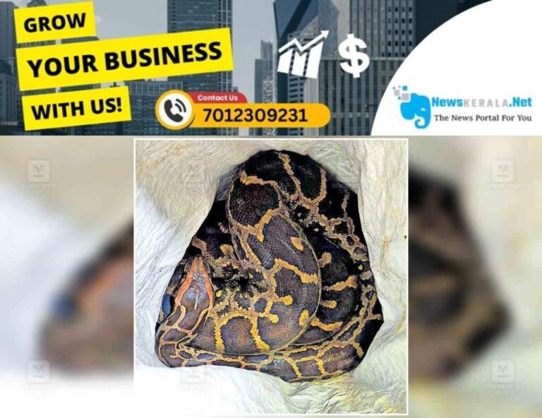 admerged_1752375179_kottayam-python