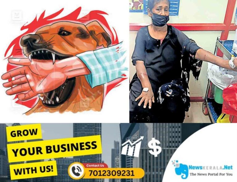 admerged_1752384377_kollam-jameela-stray-dog-attack